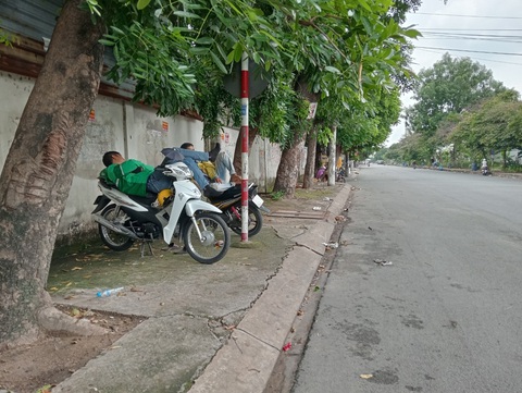Những giấc ngủ trưa vội vã bên đường- Ảnh 2. Anh Thuận cùng một tài xế xe ôm công nghệ khác tranh thủ ngủ trưa dưới hàng cây xà cừ bên cạnh Khu công nghiệp Sóng Thần, Dĩ An, Bình Dương - Ảnh: ĐỊNH DƯƠNG