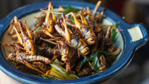 Ăn côn trùng sao cho an toàn?- Ảnh 1. Côn trùng chiên hiện đã có thể có mặt trong menu các nhà hàng ở Singapore - Ảnh: GETTY IMAGES