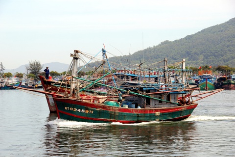 Tàu đánh bắt cá của ngư dân Quảng Ngãi - Ảnh: TRẦN MAI Tàu đánh bắt cá của ngư dân Quảng Ngãi - Ảnh: TRẦN MAI