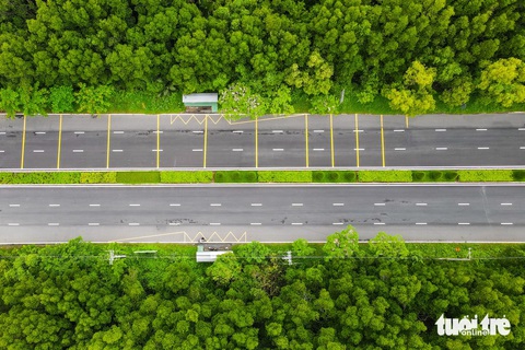Ngắm đường Rừng Sác đi xuyên qua rừng ngập mặn xanh ngắt được đề xuất nâng cấp- Ảnh 4. Đường Rừng Sác cho xe đi lại 2 chiều, mỗi chiều 3 làn xe. Chiều rộng mặt đường khoảng 30m, được trải nhựa bằng phẳng. Dải phân cách giữa 2 chiều xe được trồng cây xanh và hoa giấy. Hai bên đường là cánh rừng ngập mặn bạt ngàn