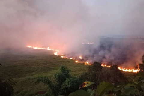 El Nino rồi sẽ là 'bình thường mới'?- Ảnh 1. Cháy rừng ở tỉnh Trung Sulawesi, Indonesia vào tháng 8-2023 - Ảnh: ANTARA