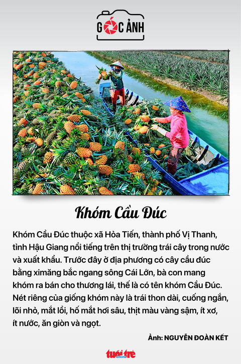 Tin tức sáng 13-7: TP.HCM mong có hướng dẫn bãi giữ xe công viên; Điện Mặt trời Trung Nam bị phạt- Ảnh 7. Tin tức sáng 13-7: TP.HCM mong có hướng dẫn bãi giữ xe công viên; Điện Mặt trời Trung Nam bị phạt- Ảnh 7.
