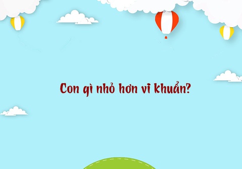 Từ nào trong tiếng Việt có ba chữ Y?- Ảnh 3. Từ nào trong tiếng Việt có ba chữ Y?- Ảnh 3.