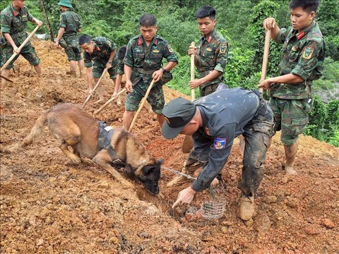 Nỗ lực tìm kiếm nạn nhân vụ sạt lở, vùi lấp xe khách ở Hà Giang- Ảnh 10. Chó nghiệp vụ được đưa vào cùng tìm kiếm nạn nhân - Ảnh: TTXVN