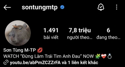 Bắt trend nóng, shop online kiếm bạc tỉ nhờ bán gấu bông Capybara- Ảnh 2. Ca sĩ Sơn Tùng đổi ảnh đại diện Instagram thành Capybara khiến tên tuổi của chú chuột lang nước khổng lồ càng lan tỏa rộng rãi - Ảnh: INSTAGRAM