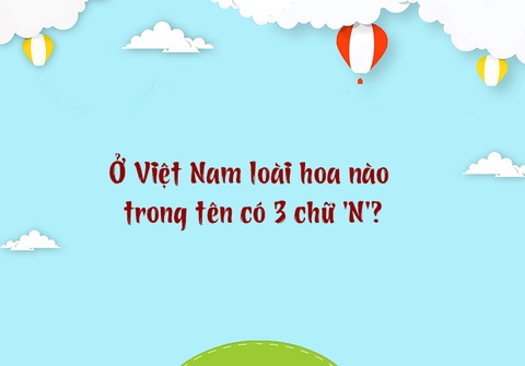 Từ nào trong tiếng Việt có 12 chữ 'M'?- Ảnh 3. Từ nào trong tiếng Việt có 12 chữ 'M'?- Ảnh 3.