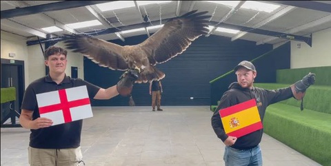 Đại bàng Honey 'chưa bao giờ dự đoán sai' chọn tuyển Anh vô địch Euro 2024- Ảnh 1. Đại bàng Honey dự báo tuyển Anh vô địch Euro 2024 - Ảnh: THE SUN