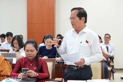 Bí thư Huyện ủy Hóc Môn: Vướng quy hoạch, hơn 20 dự án đã kêu gọi đầu tư đành 'bỏ ngỏ'- Ảnh 1. Bí thư Huyện ủy Hóc Môn nêu ý kiến tại buổi thảo luận tổ - Ảnh: HỮU HẠNH