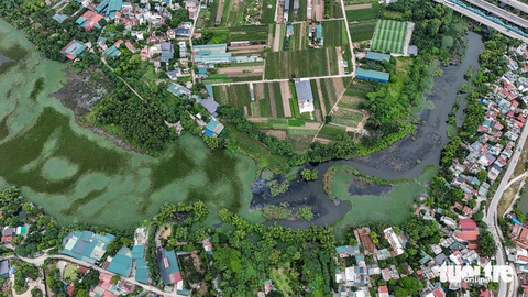 Sông Nhuệ - Đáy đang ‘hấp hối’ do đâu?- Ảnh 1. Sông Đáy có nhiều đoạn gần như ngừng chảy (ảnh chụp tại địa phận xã Yên Sơn, huyện Quốc Oai, Hà Nội)