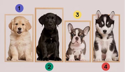 Quiz: Bạn là người mơ mộng hay thích phiêu lưu?- Ảnh 1. Quiz: Bạn là người mơ mộng hay thích phiêu lưu?- Ảnh 1.