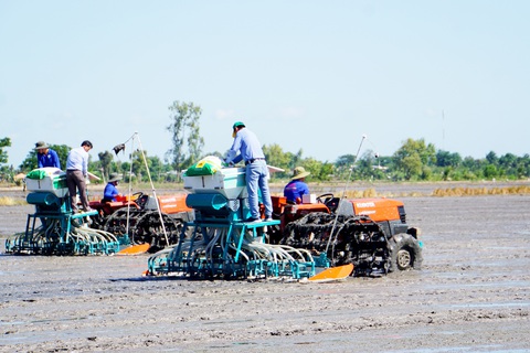 Làm cho được 1 triệu ha lúa chất lượng cao- Ảnh 2. Đồng Tháp đã triển khai thí điểm 50ha lúa chất lượng cao giảm phát thải vụ thu đông 2024 - Ảnh: ĐẶNG TUYẾT