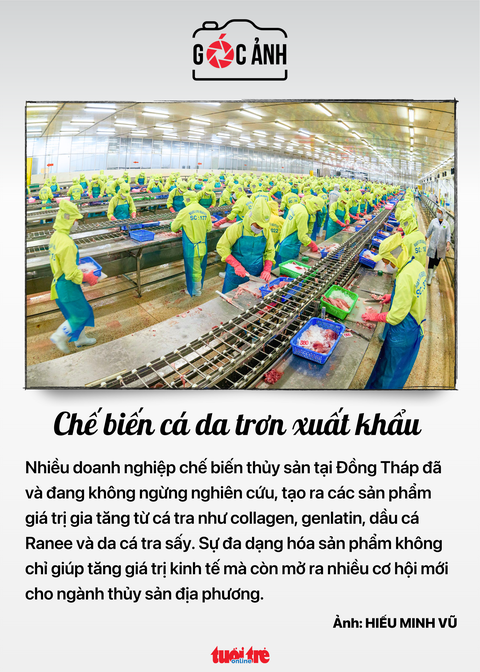 Tin tức sáng 17-7: Giá USD tự do giảm mạnh- Ảnh 9. Chế biến cá da trơn xuất khẩu - Ảnh: HIẾU MINH VŨ