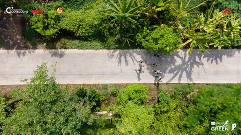 Ưu đãi đặc biệt cho bạn đọc Tuổi Trẻ tham gia Giải chạy GreenUP Marathon 2024- Ảnh 3. Vận động viên sẽ chạy trên cung đường xanh, đậm chất sông nước miền Tây Nam Bộ.