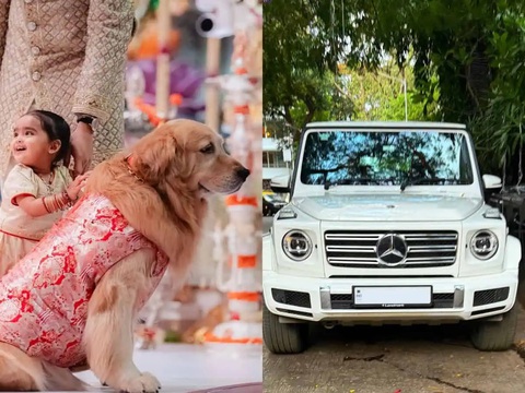 Chó của người giàu nhất châu Á đi Mercedes-Benz G-Class tiền tỉ- Ảnh 1. Chú chó cưng của người giàu nhất châu Á có số tài sản nhiều người mơ ước - Ảnh: Instagram