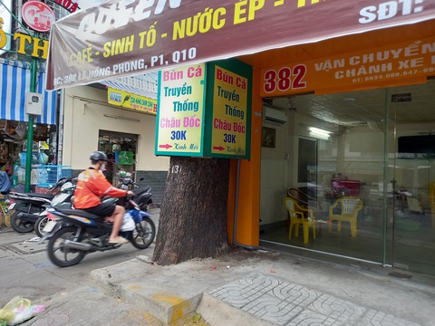 Nhiều cây xanh cổ thụ bị xâm hại chờ 'giải cứu'- Ảnh 1. Một cây xanh cổ thụ bị bao kín bảng quảng cáo, gốc cây bị xây bít, trám chặt bằng xi măng - Ảnh: NGUYỄN ĐƯỚC