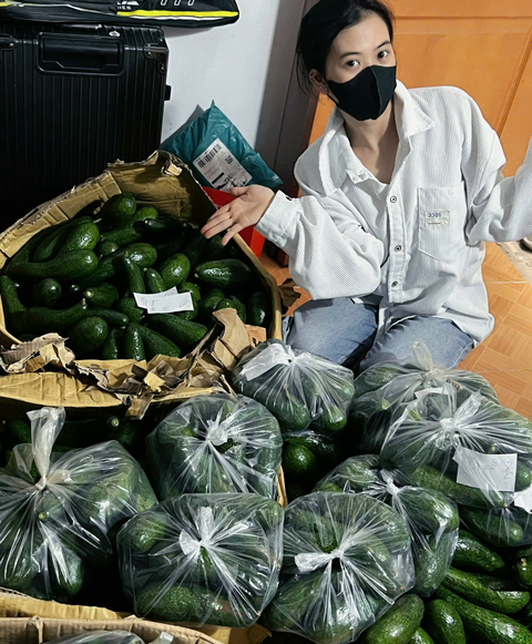 Ngọc giúp gia đình giải cứu 1 tấn bơ nhờ mạng xã hội - Ảnh: NVCC Ngọc giúp gia đình giải cứu 1 tấn bơ nhờ mạng xã hội - Ảnh: NVCC