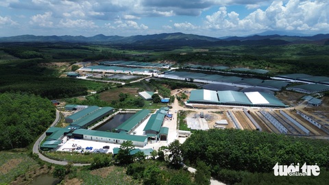 Phạt trại heo gây ô nhiễm suối hơn 120 triệu đồng- Ảnh 1. Trang trại chăn nuôi heo Bãi Trành của Công ty cổ phần chăn nuôi Tâm Việt đóng ở xã Bãi Trành, huyện Như Xuân, tỉnh Thanh Hóa nhìn từ trên cao - Ảnh: DOÃN HÒA