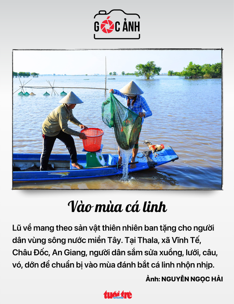 Tin tức sáng 19-7: TP.HCM báo động trẻ béo phì, cận thị; Đề xuất 10 nhóm được Nhà nước đóng BHYT- Ảnh 7. Tin tức sáng 19-7: TP.HCM báo động trẻ béo phì, cận thị; Đề xuất 10 nhóm được Nhà nước đóng BHYT- Ảnh 7.