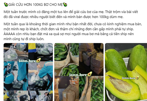 Một trong số các bài viết bán bơ của Ngọc - Ảnh: NVCC Một trong số các bài viết bán bơ của Ngọc - Ảnh: NVCC