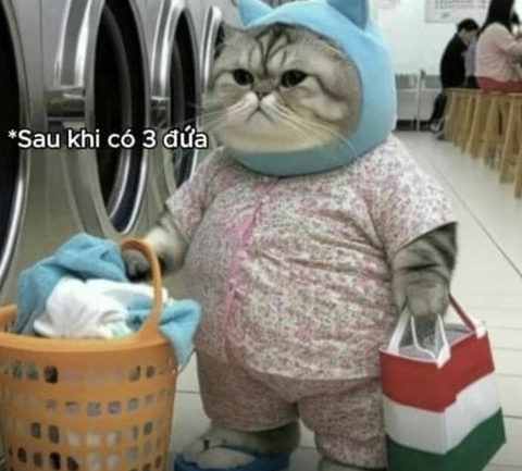 Ảnh vui 19-7: Chú chó tức giận khi bị sen cho đu trend lầy lội- Ảnh 5. Chuyện xui rủi ai muốn đâu.