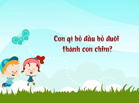 Đố vui: Con gì bỏ đầu bỏ đuôi thành con chim?- Ảnh 1. Đố vui: Con gì bỏ đầu bỏ đuôi thành con chim?- Ảnh 1.