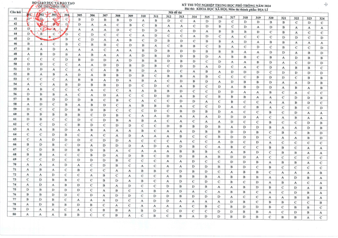 Đáp án chính thức tất cả các môn thi tốt nghiệp THPT 2024- Ảnh 9. Đáp án chính thức tất cả các môn thi tốt nghiệp THPT 2024- Ảnh 9.