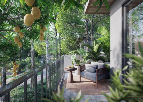 Swan & Maclaren thổi luồng sinh khí cho không gian sống tại Blue Zones đầu tiên của Việt Nam- Ảnh 5. Thiên nhiên tràn vào khung cửa tại Forest Villas