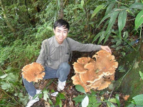 Vai trò của công nghệ sinh học trong nghiên cứu nấm ăn, nấm dược liệu- Ảnh 3. Vai trò của công nghệ sinh học trong nghiên cứu nấm ăn, nấm dược liệu- Ảnh 3.