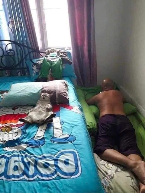 Ảnh vui 20-7: Chú gà nỗ lực gọi cô chủ thức dậy- Ảnh 4. Cháu
