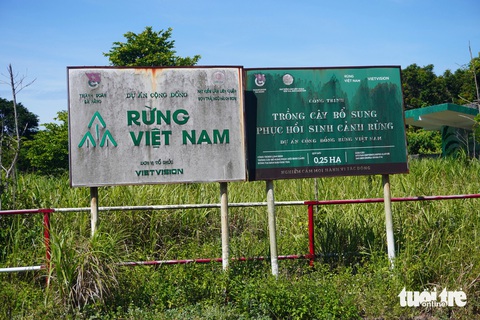 Sẽ trồng thàn mát thay cây chết khô trong dự án trồng rừng của ca sĩ Hà Anh Tuấn- Ảnh 2. Công trình trồng hơn 300 cây các loại với diện tích 0,25ha - Ảnh: ĐOÀN NHẠN
