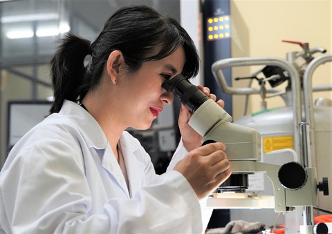 Tiến sĩ Trần Thị Như Hoa miệt mài nghiên cứu và hỗ trợ cho những bạn trẻ đam mê nghiên cứu trong nhóm của mình - Ảnh: NVCC Tiến sĩ Trần Thị Như Hoa miệt mài nghiên cứu và hỗ trợ những bạn trẻ đam mê nghiên cứu trong nhóm của mình - Ảnh: NVCC
