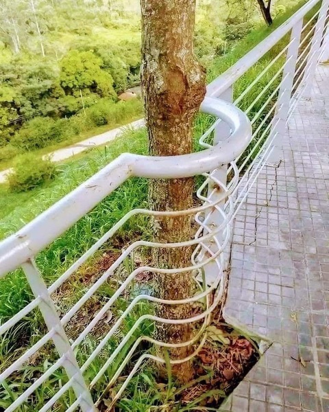 Ảnh vui 21-7: Bao nhiêu người đủ trình để hiểu bức hình này?- Ảnh 3. Ảnh vui 21-7: Bao nhiêu người đủ trình để hiểu bức hình này?- Ảnh 3.