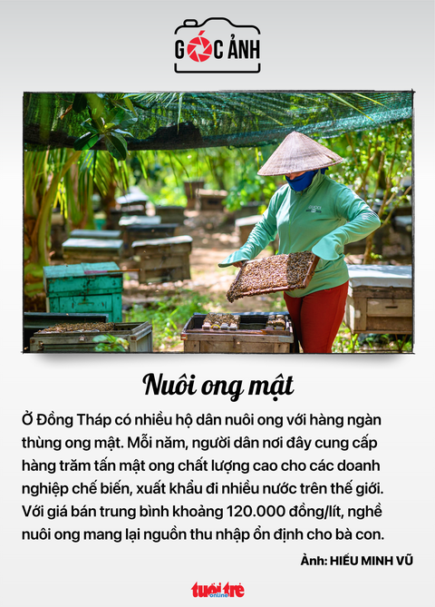 Tin tức sáng 22-7: Lãi suất liên ngân hàng tăng; Đình chỉ giao dịch một công ty chứng khoán- Ảnh 5. Tin tức sáng 22-7: Lãi suất liên ngân hàng tăng; Đình chỉ giao dịch một công ty chứng khoán- Ảnh 5.