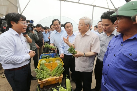 Tổng bí thư Nguyễn Phú Trọng quan tâm dự án sản xuất rau, củ, quả công nghệ cao trên đất cát dọc bờ biển Hà Tĩnh vào sáng 22-4-2016 - Ảnh: TTXVN Những chuyến đi tạo dựng phát triển của Tổng bí thư Nguyễn Phú Trọng- Ảnh 6.