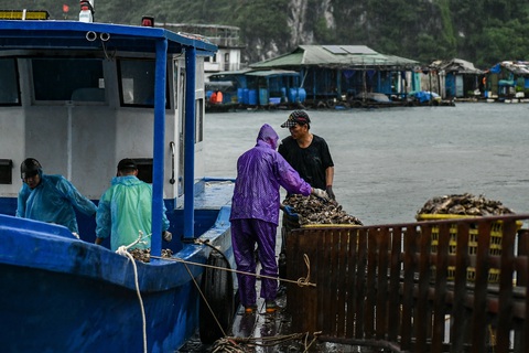 Bão số 2 áp sát Quảng Ninh - Hải Phòng, ngư dân hối hả đưa tàu thuyền vào bờ- Ảnh 3. Bão số 2 áp sát Quảng Ninh - Hải Phòng, ngư dân hối hả đưa tàu thuyền vào bờ- Ảnh 3.