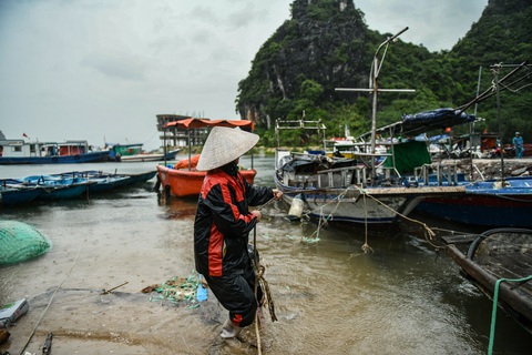 Bão số 2 áp sát Quảng Ninh - Hải Phòng, ngư dân hối hả đưa tàu thuyền vào bờ- Ảnh 1. Bão số 2 áp sát Quảng Ninh - Hải Phòng, ngư dân hối hả đưa tàu thuyền vào bờ- Ảnh 1.