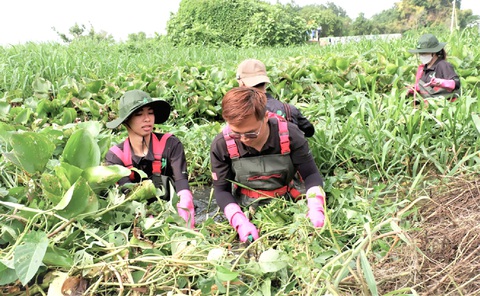 Các bạn trẻ TP.HCM khơi thông dòng chảy hai tuyến rạch tại quận 12 cùng thực hiện công trình “Sông Sài Gòn - Con sông của TP tôi” - Ảnh: K.A. Thành phố xanh từ mỗi bàn tay người trẻ- Ảnh 1.