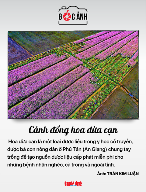Tin tức sáng 24-7: 9 quận TP.HCM không còn hộ nghèo đa chiều; ĐH Quốc gia Hà Nội vô top 100 châu Á- Ảnh 5. Tin tức sáng 24-7: 9 quận TP.HCM không còn hộ nghèo đa chiều; ĐH Quốc gia Hà Nội vô top 100 châu Á- Ảnh 5.