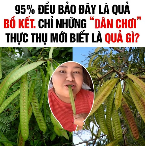 Quả gì mọc trên cây nhưng gọi là củ?- Ảnh 3. Quả gì mọc trên cây nhưng gọi là củ?- Ảnh 3.