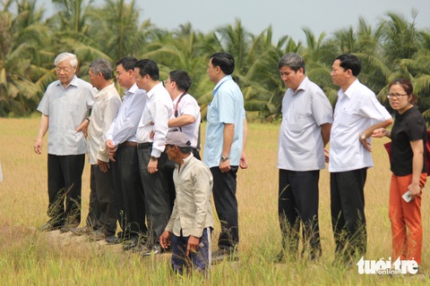 Tổng bí thư Nguyễn Phú Trọng còn mãi trong lòng người dân xứ dừa Bến Tre- Ảnh 7. Tổng bí thư Nguyễn Phú Trọng cùng nông dân xuống các đám ruộng bị thiệt hại trong mùa khô 2016 tại Bến Tre để xem xét - Ảnh: MẬU TRƯỜNG