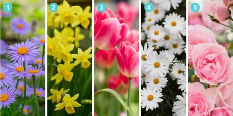 Quiz: Khám phá mức độ kiểm soát cảm xúc của bạn- Ảnh 1. Quiz: Khám phá mức độ kiểm soát cảm xúc của bạn- Ảnh 1.