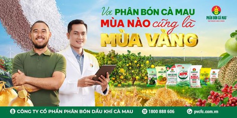 Với Phân Bón Cà Mau: Mùa nào cũng là mùa vàng- Ảnh 3. Với Phân Bón Cà Mau: Mùa nào cũng là mùa vàng- Ảnh 3.