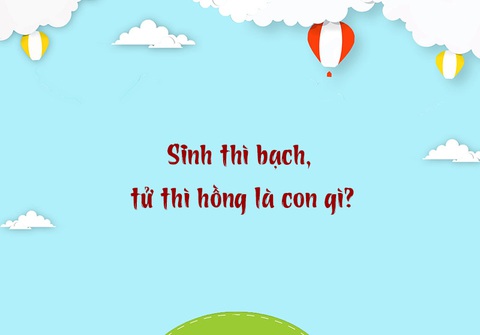 Quả gì càng nặng càng dễ khóc?- Ảnh 3. Quả gì càng nặng càng dễ khóc?- Ảnh 3.