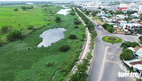 Lục bình phủ kín gây tắc nghẽn, sông Bàn Thạch chờ được giải cứu- Ảnh 1. Lục bình phủ kín gây tắc nghẽn, sông Bàn Thạch chờ được giải cứu- Ảnh 1.