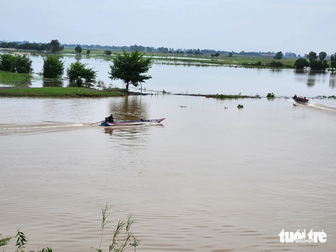 Mực nước đầu nguồn tăng, cá linh non đã xuất hiện ở miền Tây- Ảnh 1. Cánh đồng phường Nhơn Hưng, thị xã Tịnh Biên giáp với xã Vĩnh Tế, TP Châu Đốc, tỉnh An Giang đã có nước tràn đồng - Ảnh: BỬU ĐẤU