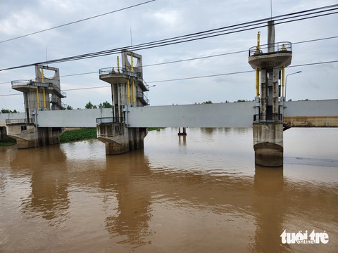Mực nước đầu nguồn tăng, cá linh non đã xuất hiện ở miền Tây- Ảnh 3. Cống Trà Sư đã mở cửa cho nước đỏ nặng phù sa chảy về hạ nguồn - Ảnh: BỬU ĐẤU