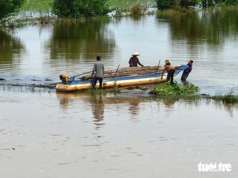 Mực nước đầu nguồn tăng, cá linh non đã xuất hiện ở miền Tây- Ảnh 4. Nhóm người dân đang đẩy vỏ lãi chở ngư cụ để băng đồng đi đặt dớn - Ảnh: BỬU ĐẤU
