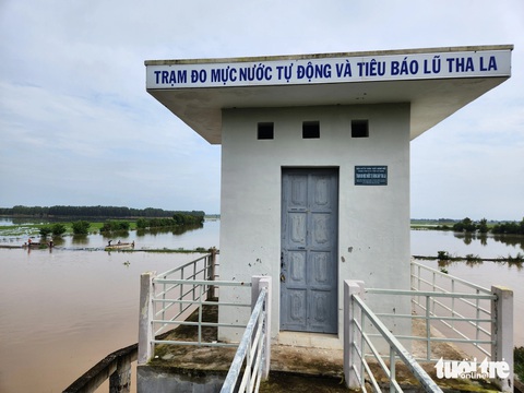 Mực nước đầu nguồn tăng, cá linh non đã xuất hiện ở miền Tây- Ảnh 8. Nước lũ mang theo nước phù sa bao trùm cả cánh đồng biên giới giáp Campuchia - Ảnh: BỬU ĐẤU