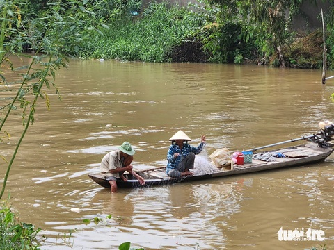 Mực nước đầu nguồn tăng, cá linh non đã xuất hiện ở miền Tây- Ảnh 9. Đôi vợ chồng ở xã Vĩnh Châu, TP Châu Đốc đang thăm lưới khi con nước đổi màu - Ảnh: BỬU ĐẤU