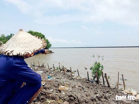 Có kè chắn sóng nhưng đất ven biển Kiên Giang vẫn bị xói mòn, sạt lở- Ảnh 1. Những ngày qua mưa dông kết hợp gió mùa Tây Nam thổi mạnh, sóng biển đánh qua kè chắn sóng khiến bờ đê nuôi tôm, cua của người dân xã Thổ Sơn (huyện Hòn Đất) bị xói mòn, sạt lở, còn lại cọc tre - Ảnh: CHÍ CÔNG